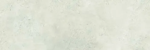 Capital - 6